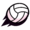 Volley summer icon.png