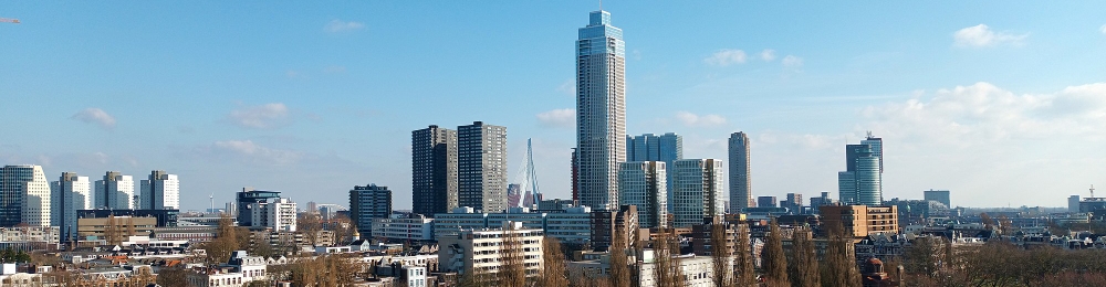 Skyline Rotterdam gecropt.jpg