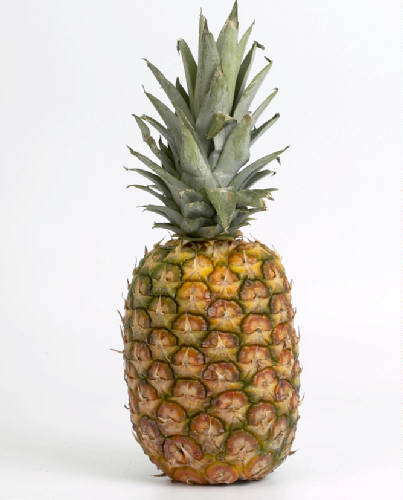 Ananas.jpg