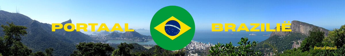 PortaalBrazilië2.png