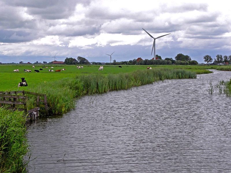 Bestand:Landschap Nederland.jpeg