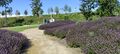 MarcaroniFLORIADE.jpg