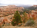 Amerika Brycecanyon5.JPG