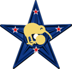Barnstar New Zealand.png