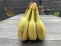 Banaan.jpg