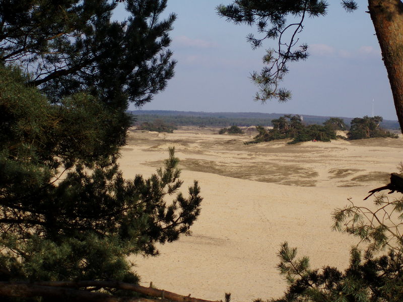 Bestand:De Veluwe.jpg