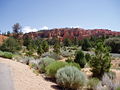 Amerika Brycecanyon2.JPG