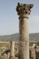 Volubilis01.JPG