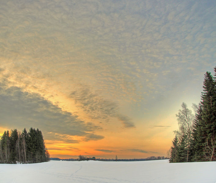 Bestand:Wolk Cirrocumulus floccus.jpg