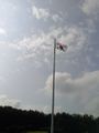 Vlag Zuid-Korea.jpg