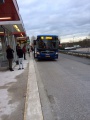 Image-Bus-Bij-Capelsebrug-Rotterdam.jpg