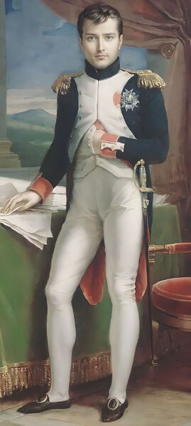 Bestand:NapoleonBonaparte.jpg