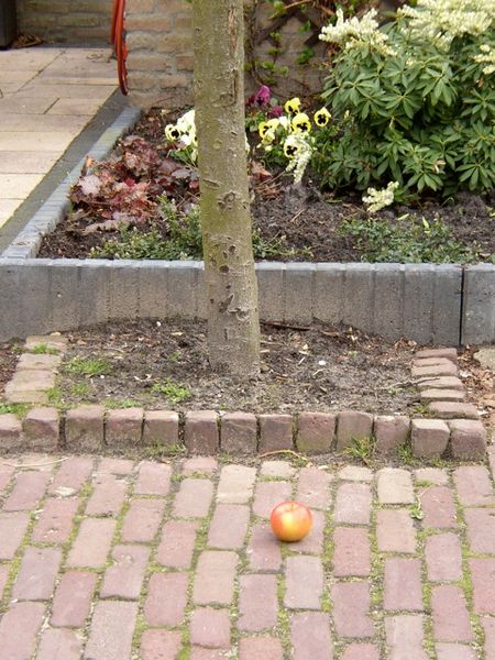 Bestand:Appel valt niet ver van.jpg