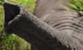 Elephant-trunk-3373766 1280.jpg