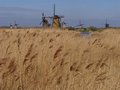 Kinderdijk molens 02.jpg