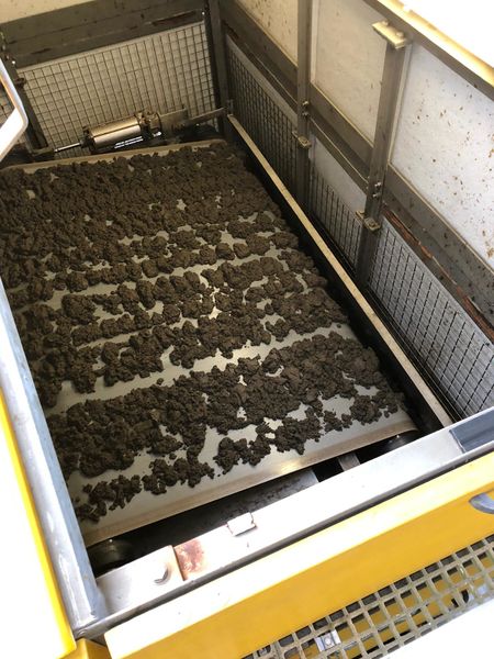 Bestand:Koekjes van slib.jpeg