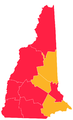 Democratische voorverkiezingen in New Hampshire (2020).png