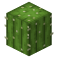 Cactus JE4.webp