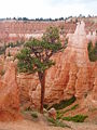 Amerika Brycecanyon11.JPG