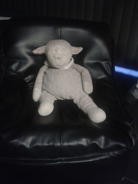 Bestand:Knuffelschaapje.jpeg