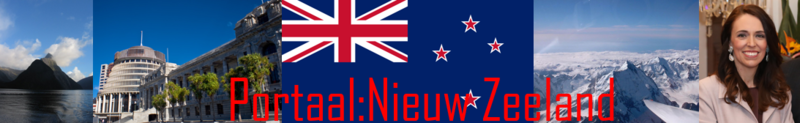 Bestand:BannerNZ.png