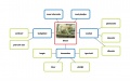 Mindmap dieren.jpg