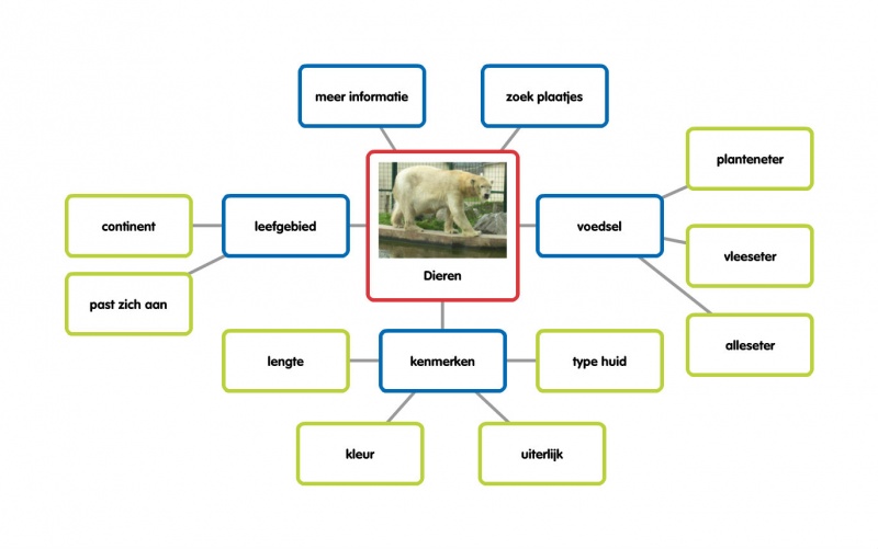 Mindmap dieren.jpg