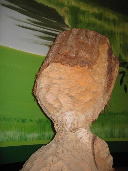 Bestand:Knaagtechniekbever.jpg