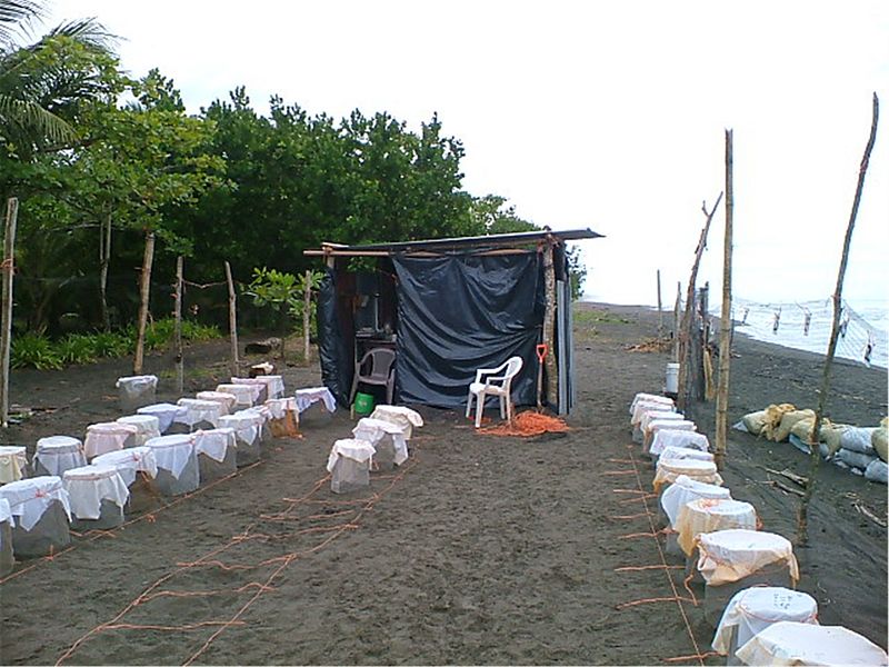Bestand:Costa Rica 008.jpg